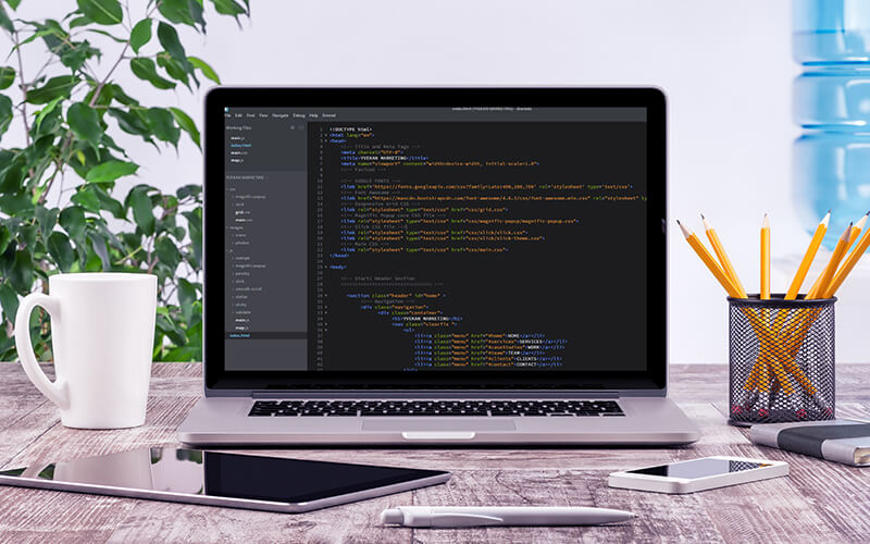 Development Process